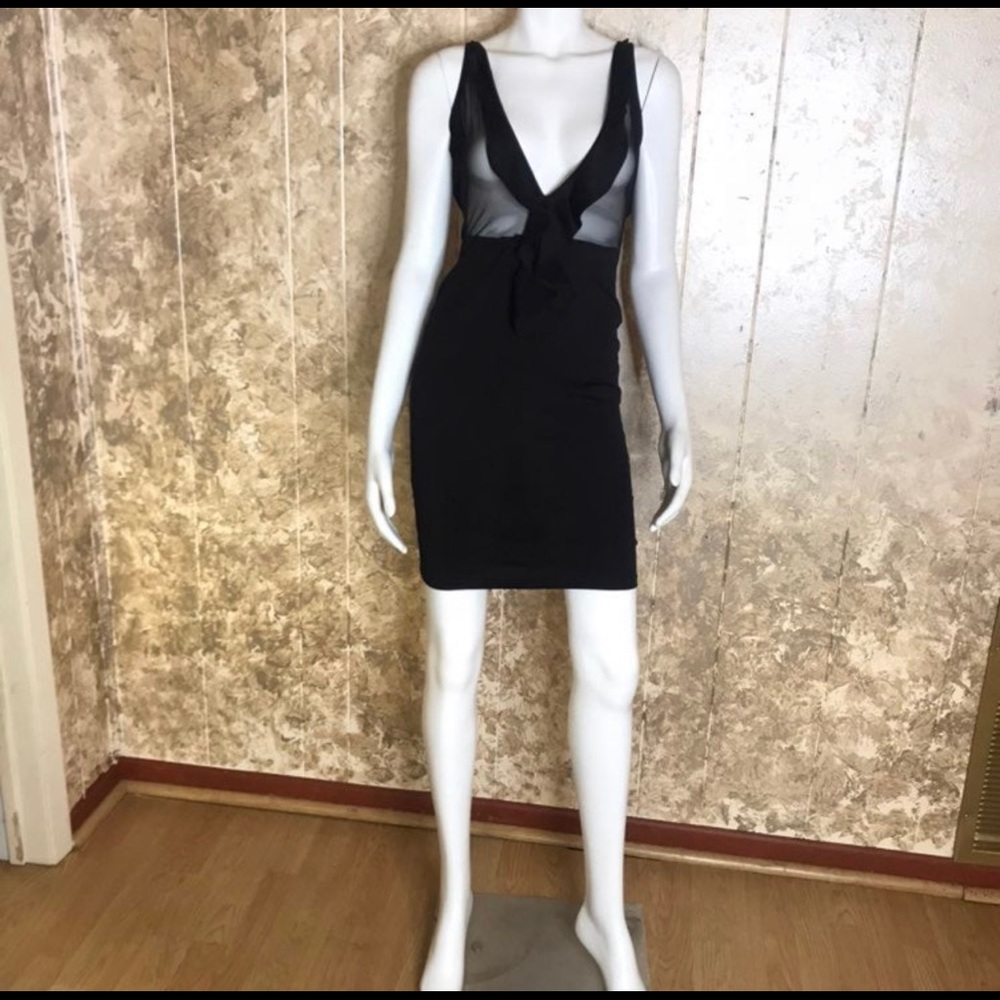 Sheer Plunge Dress